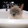 ben.varela - @ben.varela - TikTok