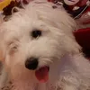 Ben Varga - @ben_varga - TikTok