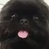 Ben - @variantben - TikTok