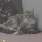 \/ £ Ņ Ű Š - @_ben_venus - Instagram