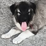 @ben_venus4160 - Instagram