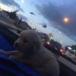Ben Venüs - @privateofvenus - Instagram
