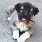 @benvenus52 - Instagram
