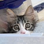 VENÜS 🐈 - @ben.venus_ - Instagram