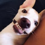 Venüs Zerefşan - @benvenushav - Instagram
