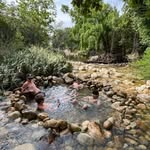 Ben Viljoen - @benviljoen_ - Instagram
