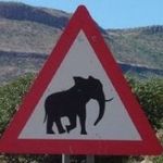 Ben Viljoen - @benvil680 - Instagram