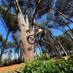 𝓫𝓮𝓷𝓬𝓸 - @benco.viljoen - Instagram