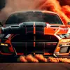 king wolf - @bentley.vinson5 - TikTok