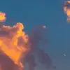 Ann bushcraft - @annibenvu.01 - TikTok