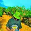 benvu - @benvuvu - TikTok