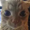 ben warner - @ben.warner - TikTok