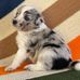 Benjamin Wasson - Facebook
