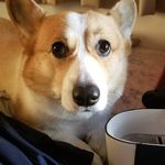 Ben Watanabe - @gokuwatanabe - Instagram