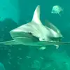 Ben - @benwaterman83729 - TikTok