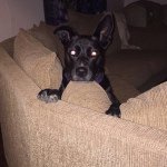 ben_watkins - @ben_watkins - Instagram