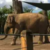benwatters870 - @benwatters870 - TikTok