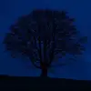 justben - @justbenwatters - TikTok