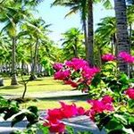 Waxman Benx - @waxmanbenx - Instagram