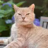 ben_weinberger - @ben_weinberger - TikTok