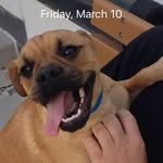 Ben Wenner - @benwenner1184 - Instagram