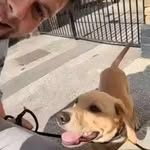 Ben Wenner - @wennerben - Instagram