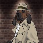 Ben Smith Whatley - @cptnormal - Instagram