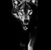 Ben Whipple - Facebook