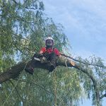 Ben Whiteside - @leaflopper - Instagram