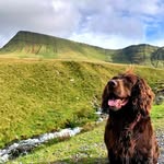 Ben Whiting - @jarviscockeradventures - Instagram