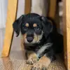 Ben.whitlock1 - @ben.whitlock1 - TikTok