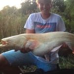 Ben Whittington - @whittington_ben - Instagram