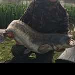 Ben Whittington - @catfishing_for_ebas - Instagram