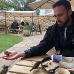 Ben Whittle - @pooinurshoe - Instagram
