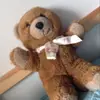ben.wichmann0 - @ben.wichmann0 - TikTok
