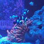 Ben Wiesner - @wiesner4924 - Instagram