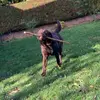 Ben Wiesner - @benwiesner04 - TikTok