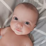 Bento Martins Wiggers - @bentomwiggers_ - Instagram