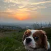 Ben_wil02 - @ben_wil02 - TikTok