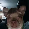 benwilld0it - @benwilld0it - TikTok