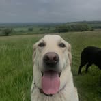 Ben Wilcox - Facebook