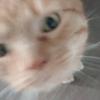 benwillifordbeanh - @benwillifordbeanh - TikTok
