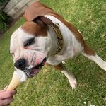 Ben Willoughby - @ben.willoughby27 - Instagram