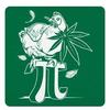benwillson - @benett.willson - TikTok
