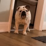 @ben.wilton7 - Instagram