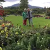 benwilgenhofplante - @benwilgenhofplante - TikTok