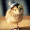 aRealMfknG - @benwindham_ - TikTok