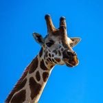 Ben Winters - @mr_menshiki - Instagram
