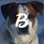 Ben Yager - @fated_yager - Instagram