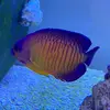 benyeats02 - @fishguy021 - TikTok